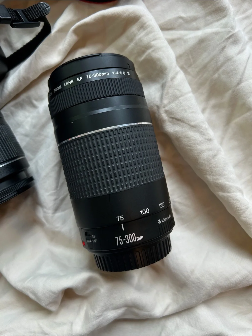 Canon Rebel T6 with set of 2 Zoom Lens